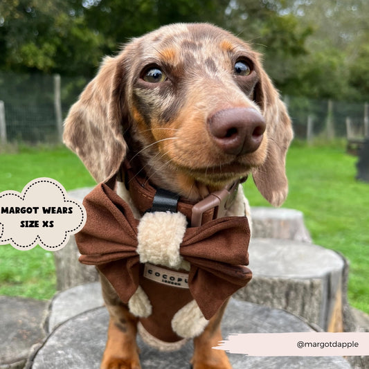 Cocopup Barna Aviátor állítható testhám