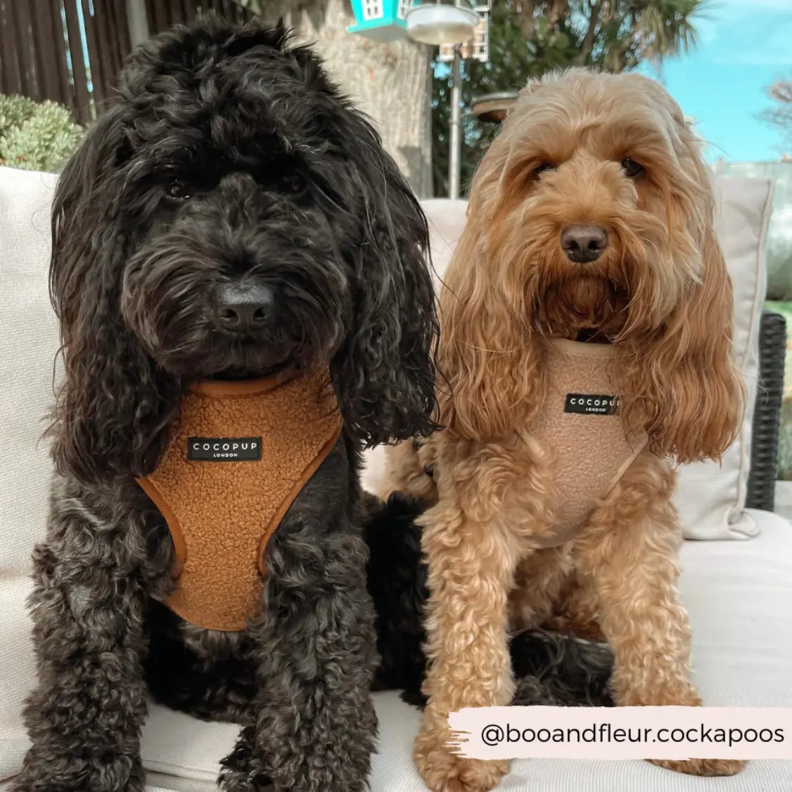 Cocopup Teddy Peddington állítható testhám