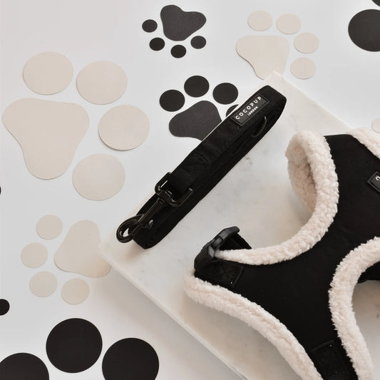 Cocopup Fekete Aviátor póráz