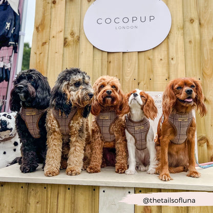 Cocopup Pup Plaid szett