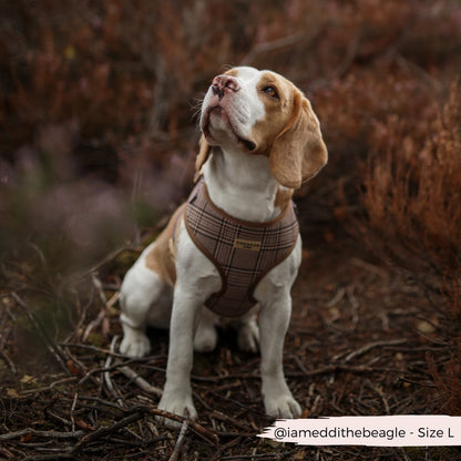 Cocopup Pup Plaid szett