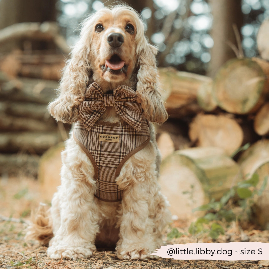 Cocopup Pup Plaid szett