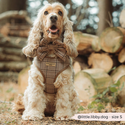 Cocopup Pup Plaid szett