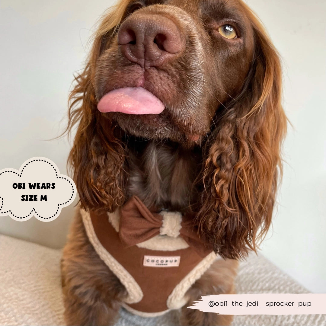 Cocopup Barna Aviátor állítható testhám