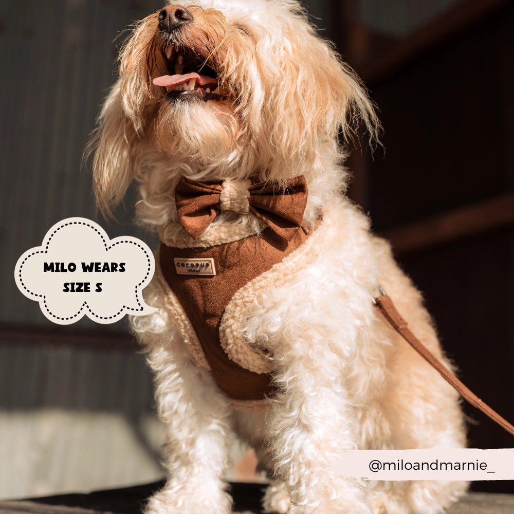 Cocopup Barna Aviátor állítható testhám