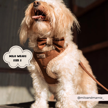 Cocopup Barna Aviátor állítható testhám