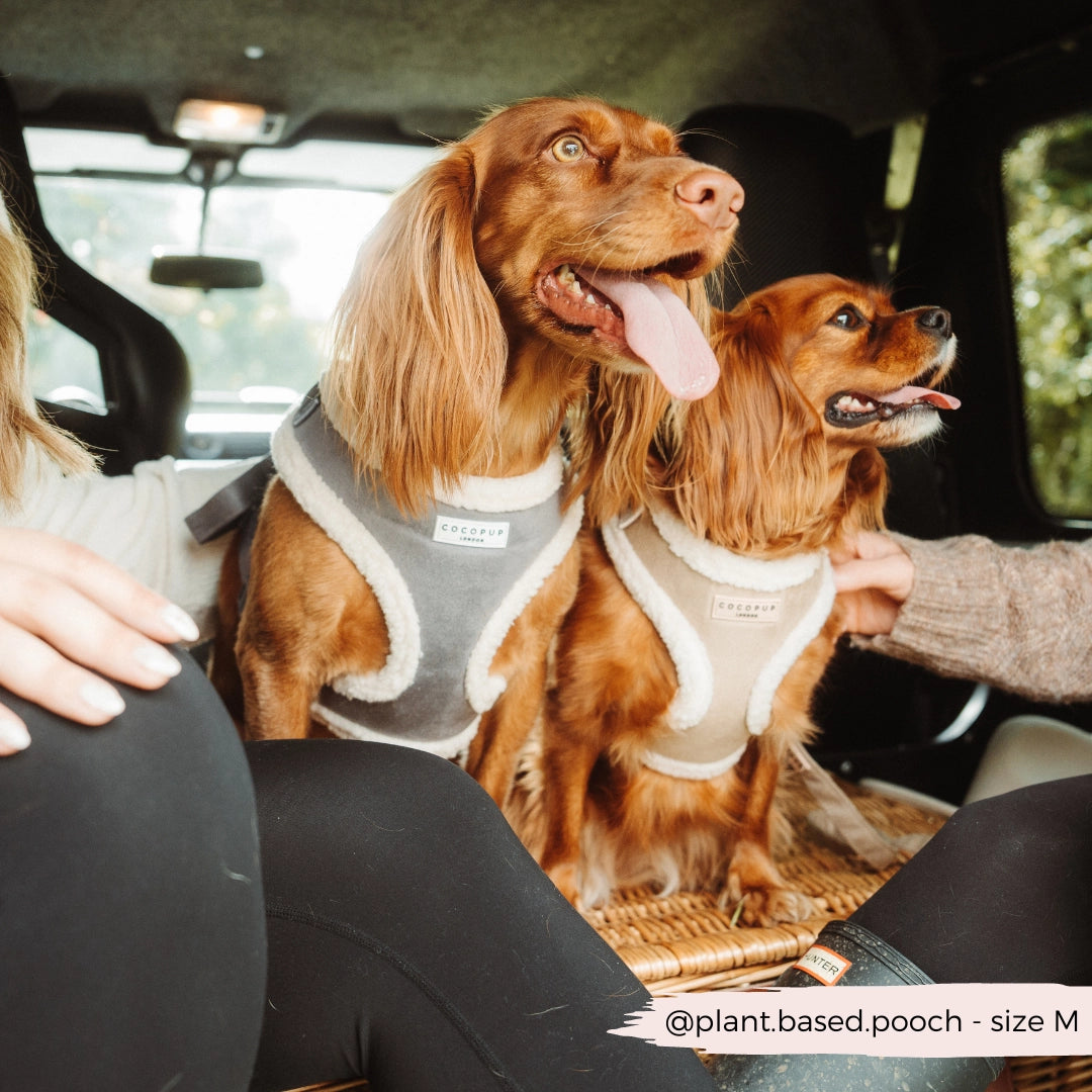 Cocopup Bézs Aviátor Hám