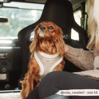 Cocopup Bézs Aviátor Hám